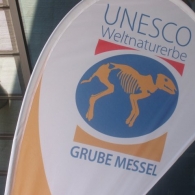 grube-messel1